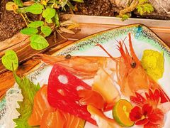 -森味薪火烧•烧鸟居酒屋•日本料理(望京店)