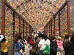 -河南宝泉旅游区