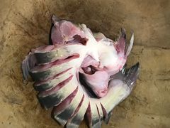 -云中鱼蒸汽石锅鱼(川沙百联店)