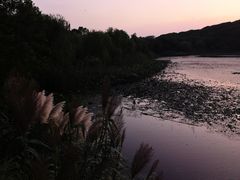 -上海市保健医疗中心