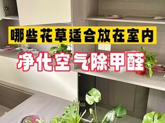 -绿色家缘甲醛治理公司(中关村店)