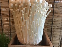 -番食园鲜食火锅(高新店)