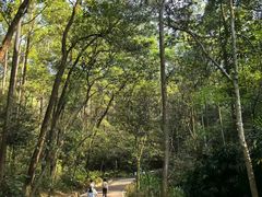 -东莞市大岭山森林公园