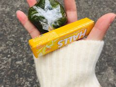 -上海市龙华烈士陵园