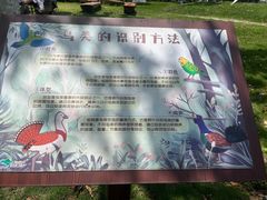 -广州市流溪河国家森林公园
