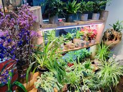 -十二舍·湯物素煮(江泰潤政店)