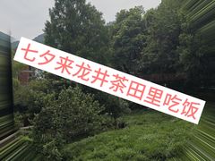 -野蔓果·山野菜(西湖景区·龙井茶田店)