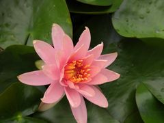 -桃源居(蠡园店)