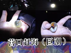-仙人岛风景区