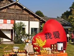 -贡湖湾湿地公园