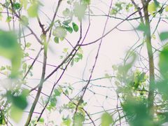 -石棉县孟获城