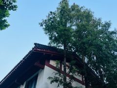 -济南大明湖景区