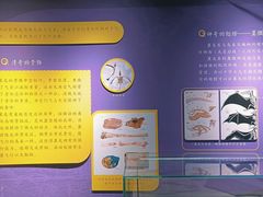 -辽宁古生物博物馆