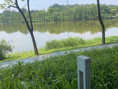 -东莞植物园