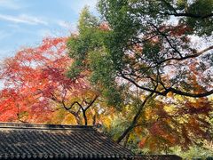 -惠山古镇·寄畅园