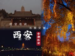 -大雁塔北广场音乐喷泉