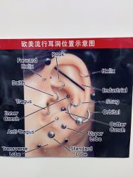 -AI艾耳·专业手工耳洞·穿孔美学馆