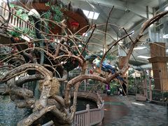 -南宫五洲植物乐园