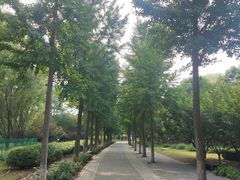 -东升八家郊野公园