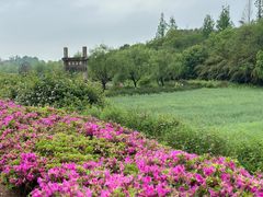 -杏花村文化旅游区