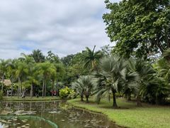 -中国科学院西双版纳热带植物园