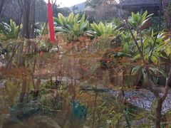 -品泉餐厅·大盆鱼·走地鸡