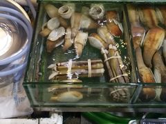 -老字号蛇口德记烧腊饭店·海鲜加工