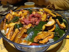 -国芳中心