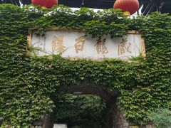 -藏龙百瀑风景区