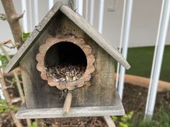 -前小桔亲子创意农场·草莓采摘·露营烧烤