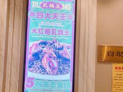 -朱记乳鸽王·非遗石岐乳鸽·全鸽宴(大兴旗舰店)
