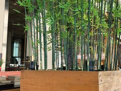 -上海柏悦酒店·世纪100牛排馆
