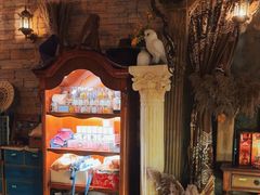 -雪灵魔法世界SHELLY’S TAROT(大良桂畔里店)