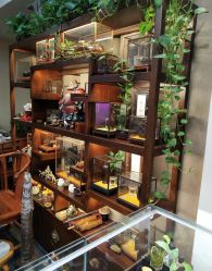 -灵彩珠宝(朗香街店)