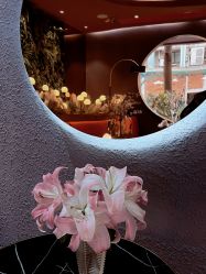 -花隐·美芙炫海菲秀皮肤管理中心