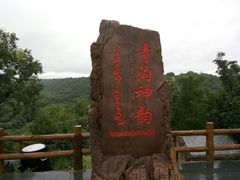 -大青沟风景区