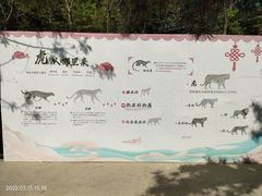 -大连森林动物园