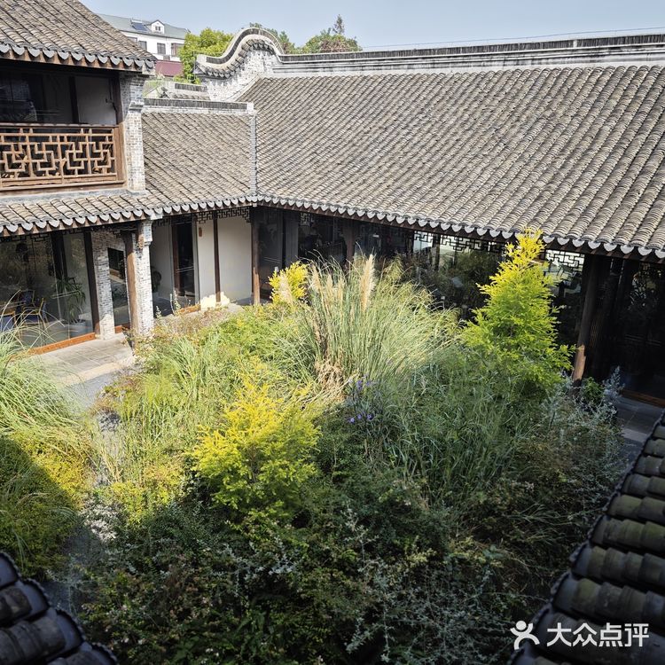 一尺花园南园店 | 荒芜花园属实凄美