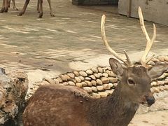 -武汉紫薇都市田园