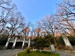 -灵谷景区