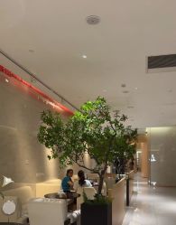 点击看大图 -半岛故事·法儿曼抗衰·indiba中心