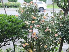 -田园印象·成都土菜院子(华阳店)