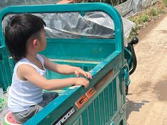 -庞各庄西瓜蔬菜采摘园·锦华瓜园