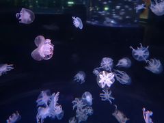-杭州海底世界