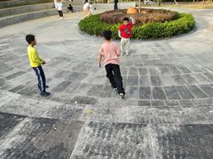 -中山市树木园