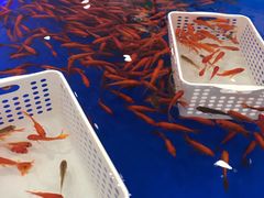 -万达广场(惠州大亚湾店)