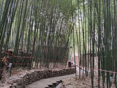 -竹泉村旅游度假区