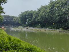 -广州长隆飞鸟乐园