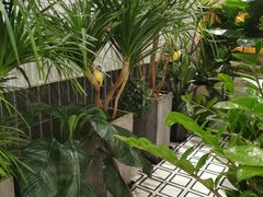 -泽西岛·影院沐足SPA(西大街店)