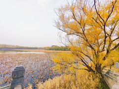 -颐和园